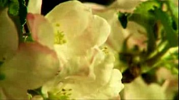 Neeye Nirantharam à__à__à__à__