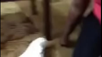 Black, Blowjobs, Amateurs, Head, Fellatio - Exotic - 2025 - Steamy - Performance - Video 6042857