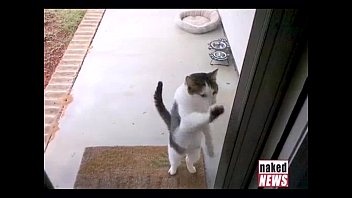 Nike Commercial Analysis And Breakdown On Digital Buzz!