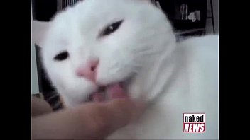 Cute Kitties, An Insane Drummer, And Jedward On Digital Buzz!