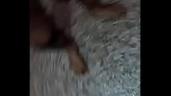 Soloboy, Pc, Rajesh - Unknown - 2025 - Steamy - Performance - Video 6136299