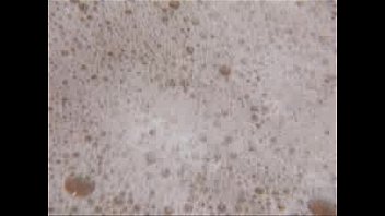 SESSO AL TELEFONO 899 050 645 899 130 149