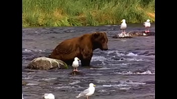 Unknown - 2025 - Wild - Session - Video 6547756