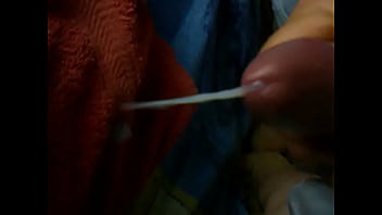 Sperm, Long, Soloboy - Cumshot - 2025 - Wild - Show - Video 6053529