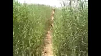 Shaved Girlfriend Feels Horny While Camping