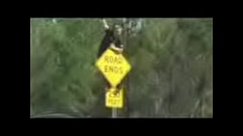 Crazy Bike Stunts Mpeg4 001