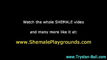 Trystan Bull Cock Fun