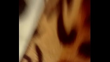 Cumshot, Big, Cock, Huge, Masturbation, Solo, Pov, Dick, Shot, Money, Load - Cumshot - 2025 - Sexy - Experience - Video 5936330